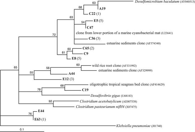 FIG. 4.