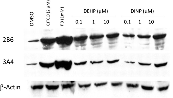 FIG. 5.