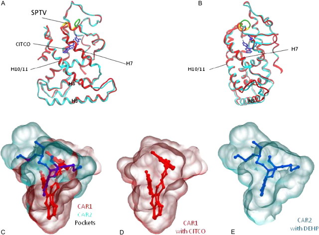 FIG. 7.