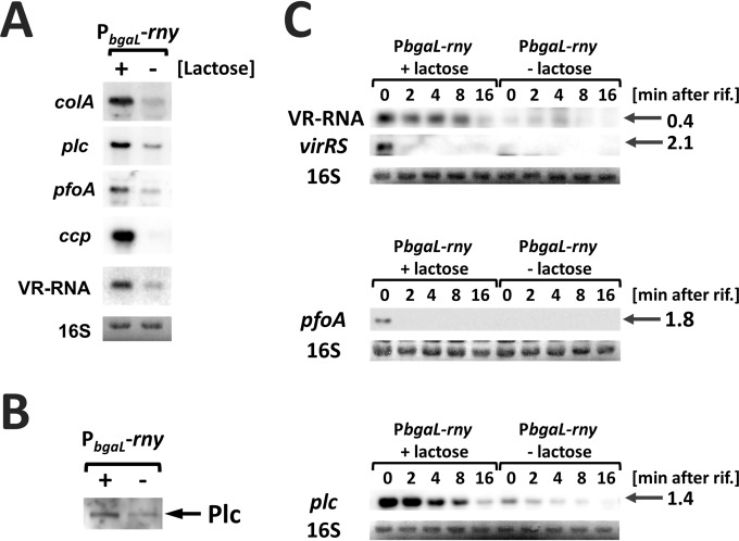 FIG 3