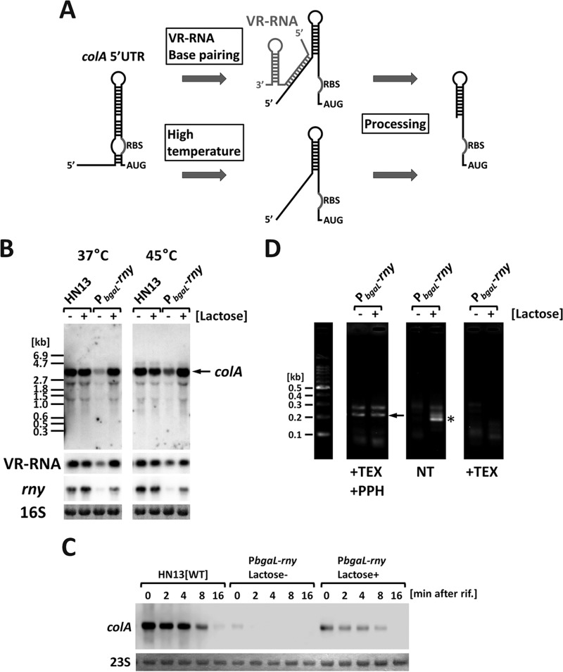 FIG 4