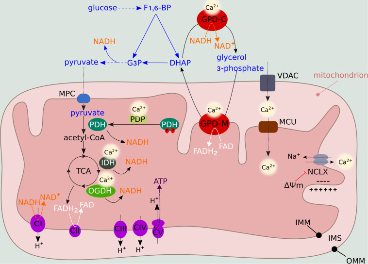 FIGURE 2