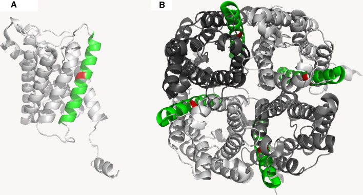 Fig. 8