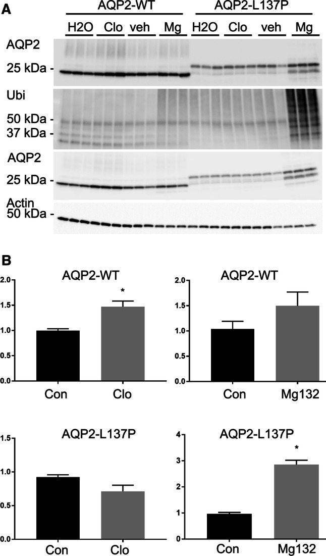 Fig. 7