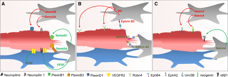 Fig. 3