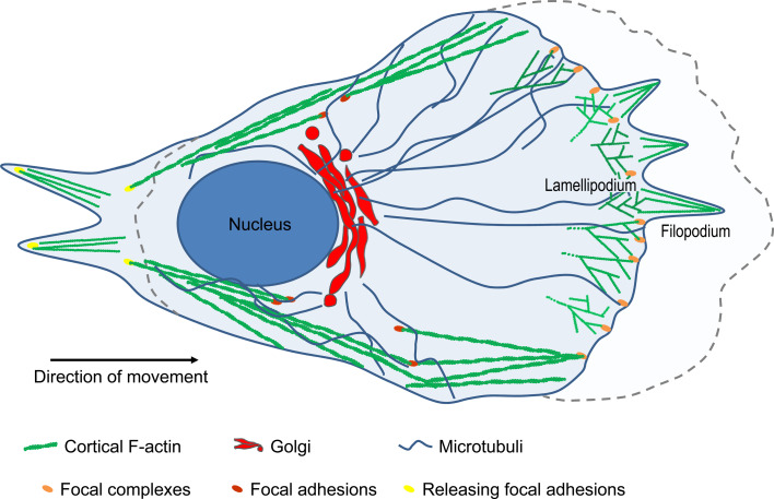 Fig. 1