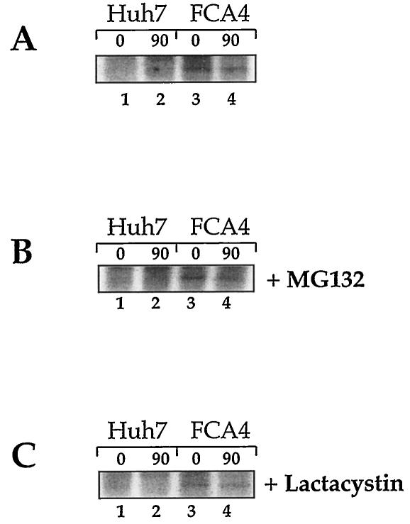 FIG. 6.