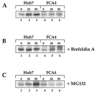 FIG. 5.