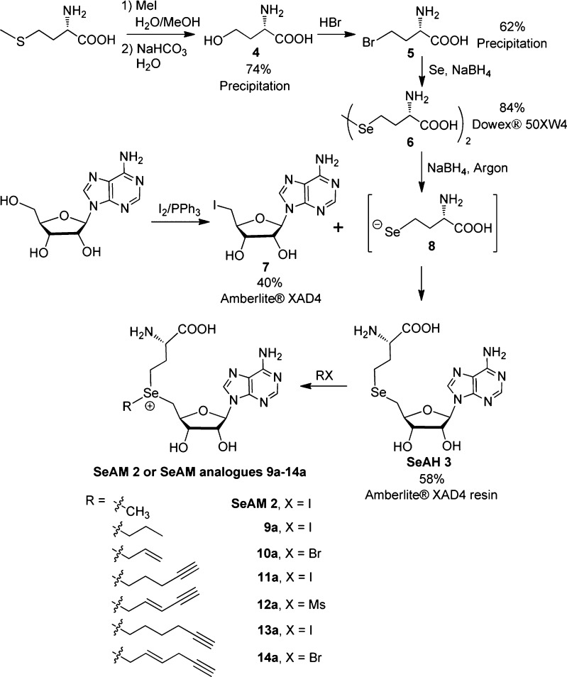 Scheme 1