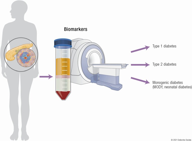 Graphical Abstract