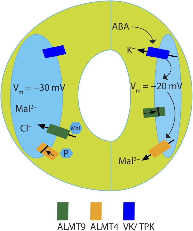 Figure 10.