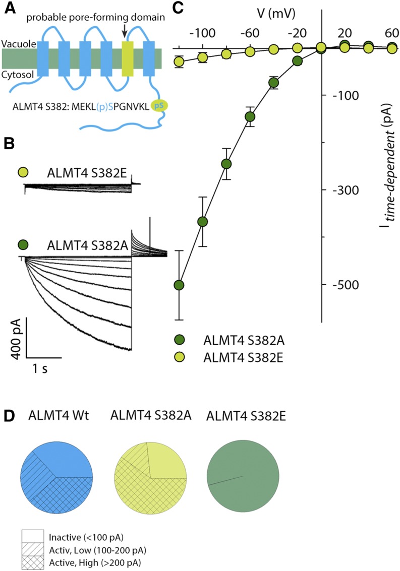 Figure 6.