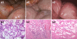Fig. 2