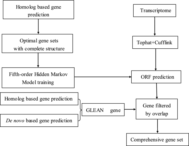 Figure 3: