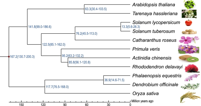 Figure 5: