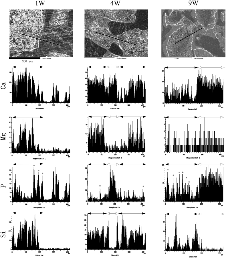 Fig. 7