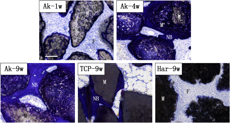 Fig. 6