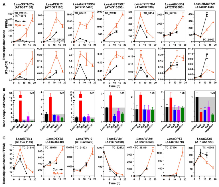 Figure 5