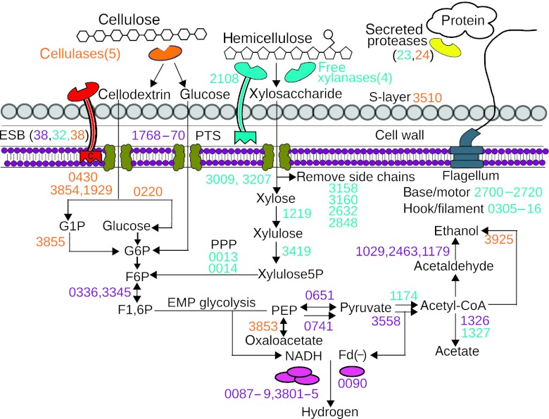 Figure 7