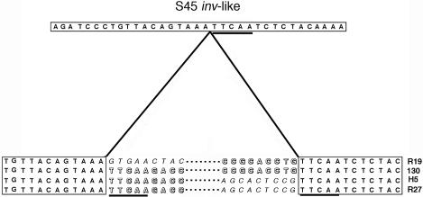 FIG. 5.