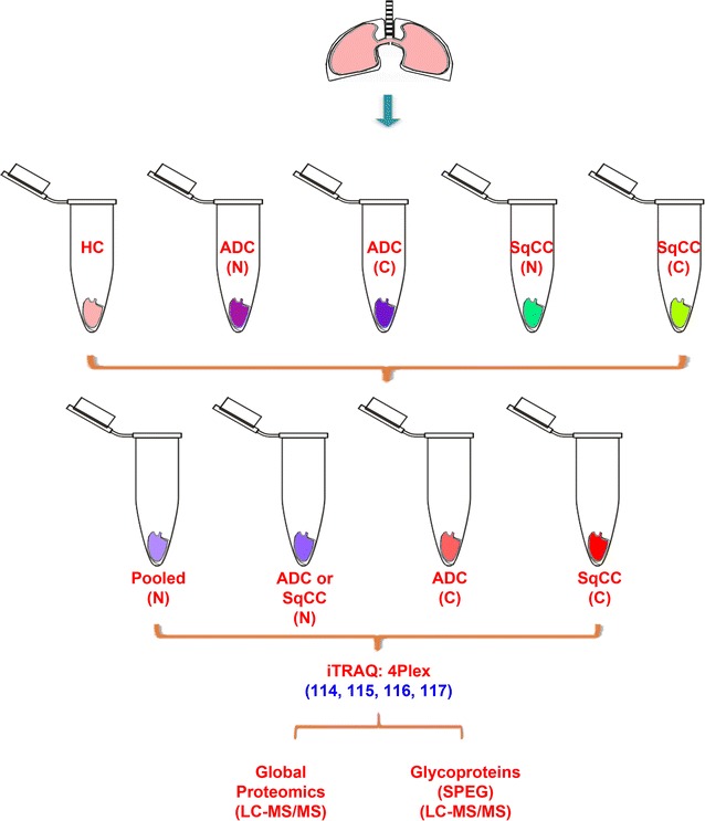 Fig. 7