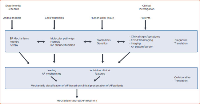 Figure 5: