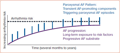 Figure 3: