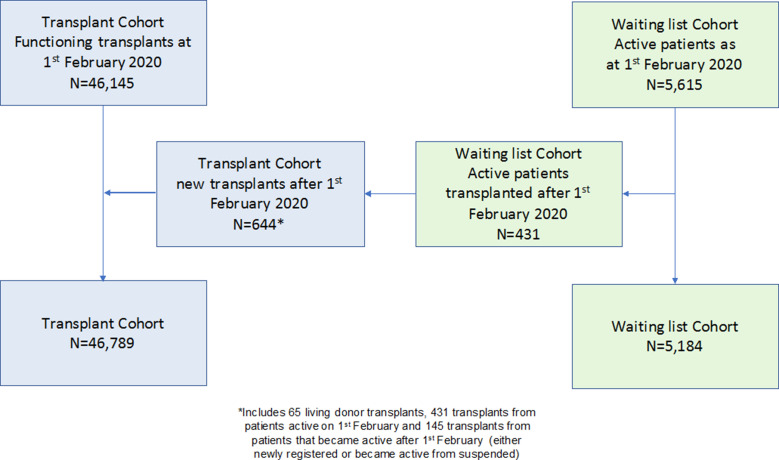 FIGURE 1