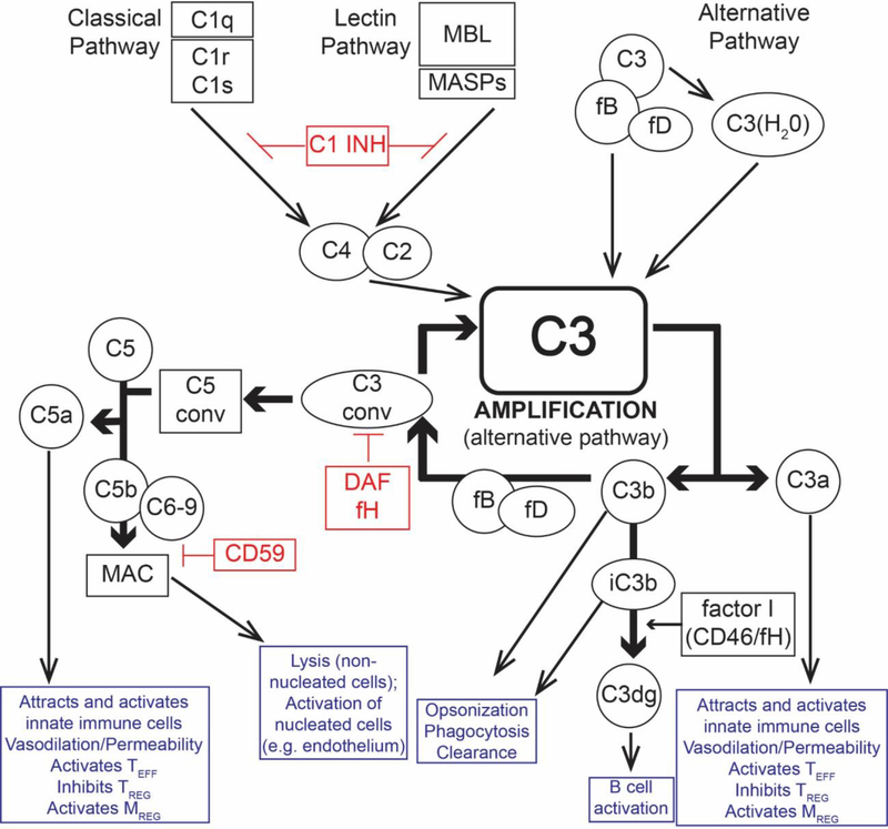 Figure 1: