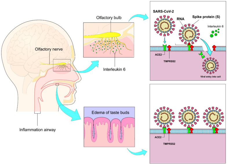 Figure 3