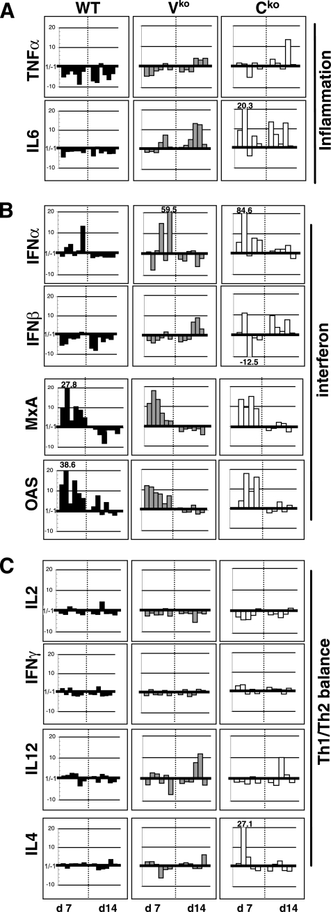 FIG. 4.