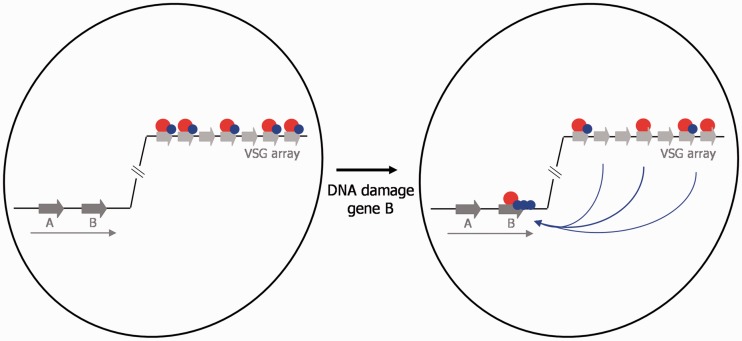 Figure 9.