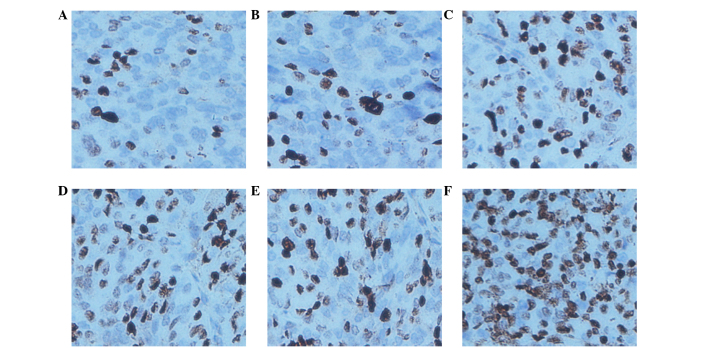 Figure 7.