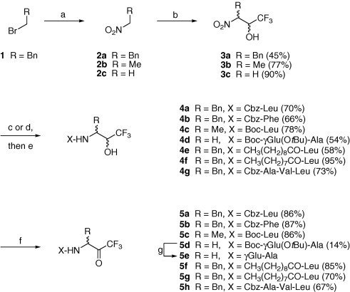 Scheme 1