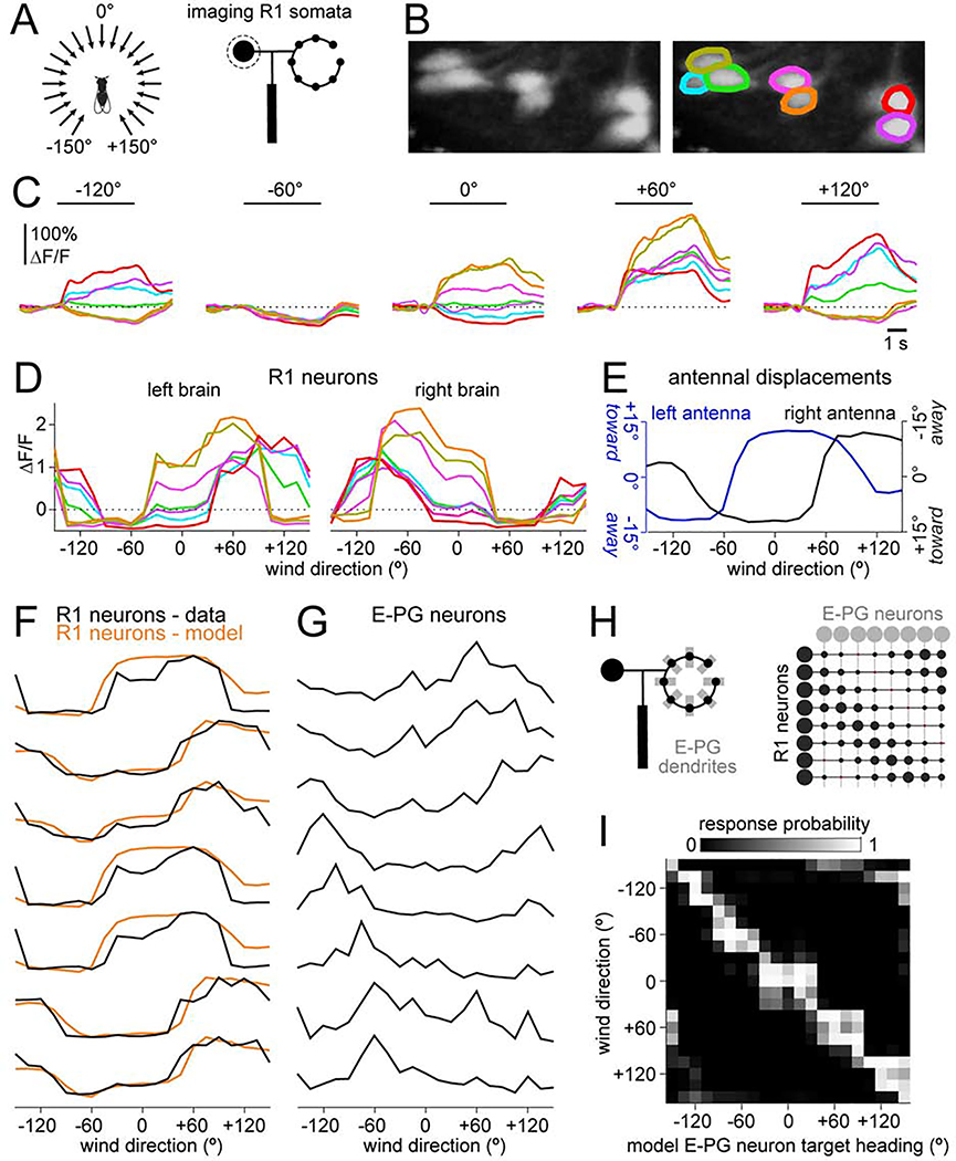 Figure 6: