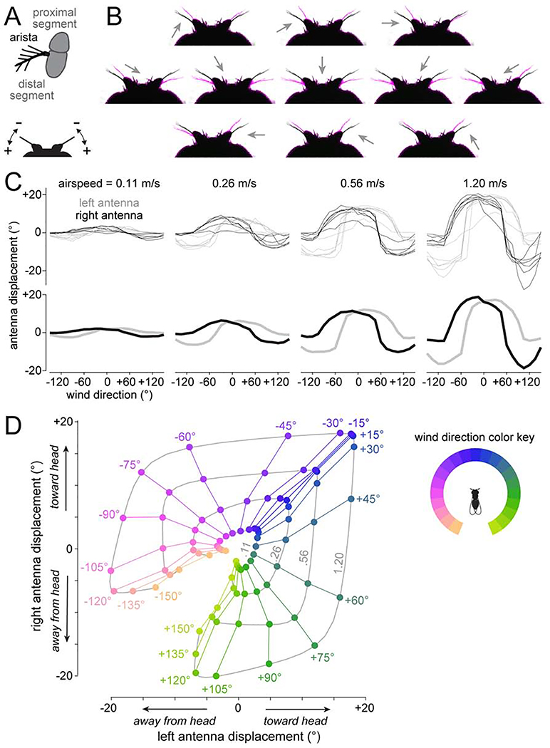 Figure 4: