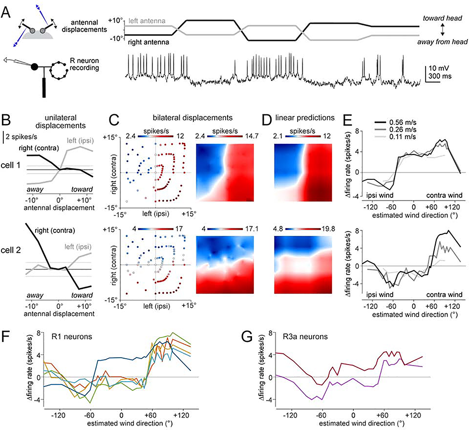 Figure 5: