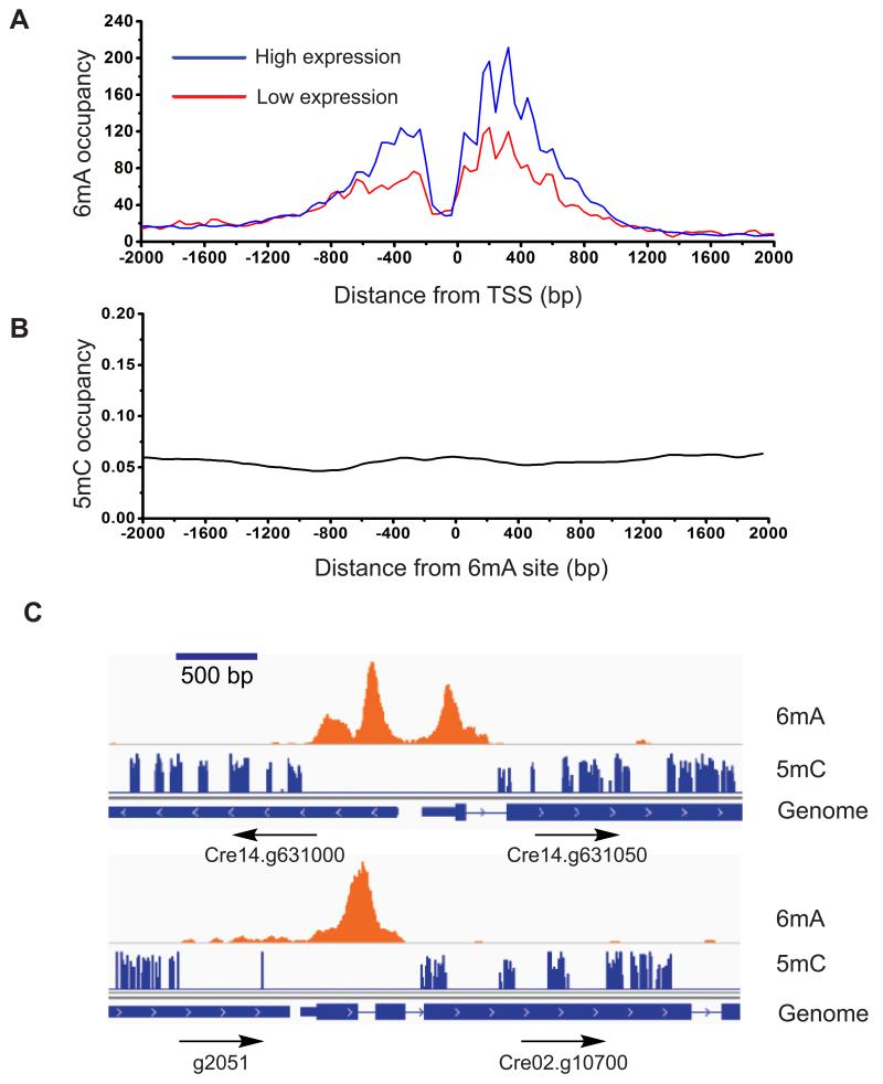 Figure 7