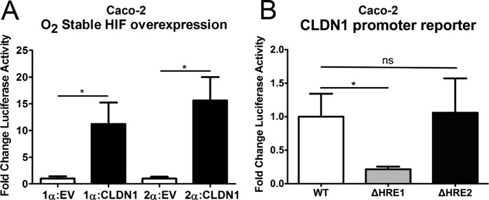 FIGURE 7: