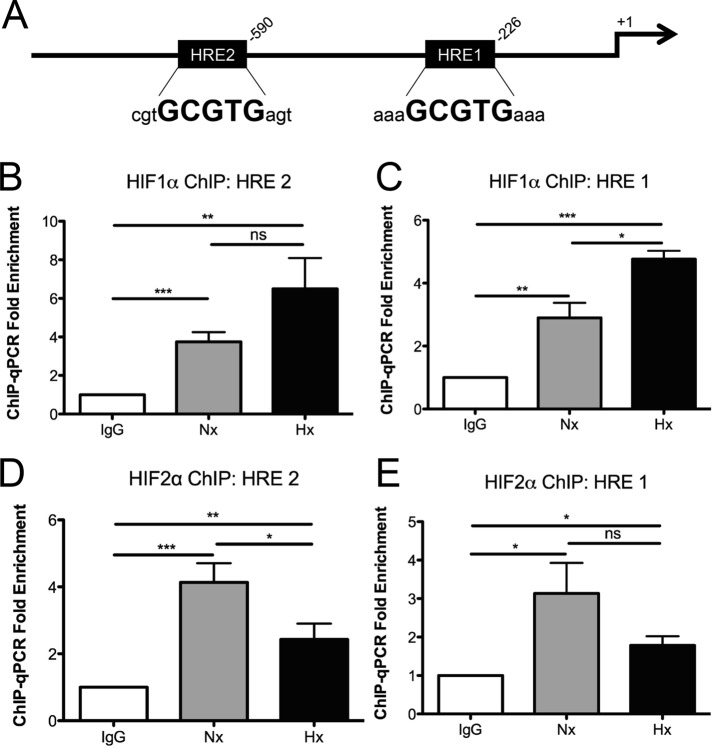 FIGURE 6: