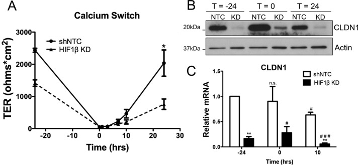 FIGURE 3: