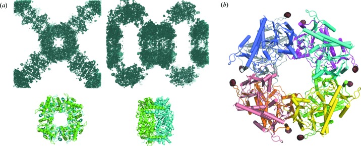 Figure 5