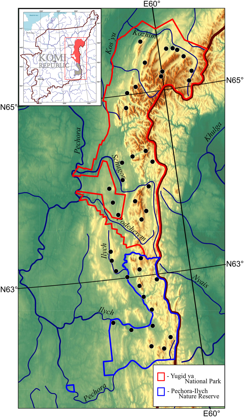 Fig. 1