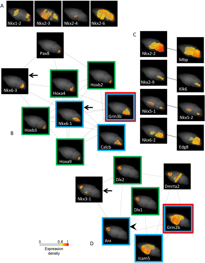 Figure 5