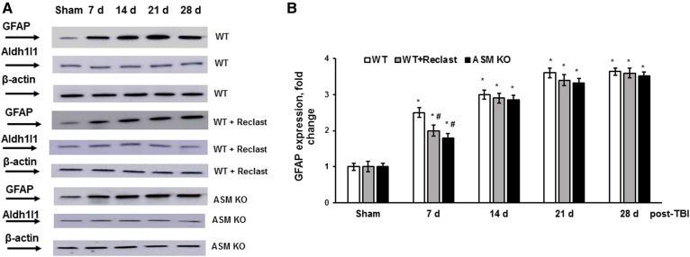 Fig. 8.