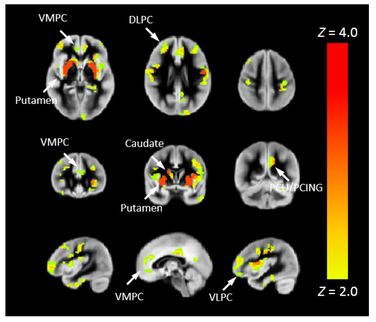 Figure 6