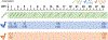 Fig 1.