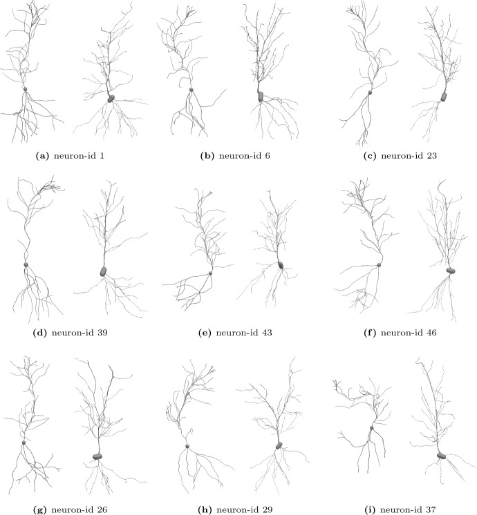 Fig. 12