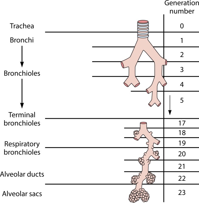 FIG 2