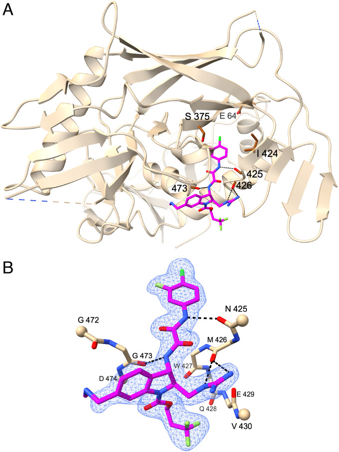 Fig. 4.